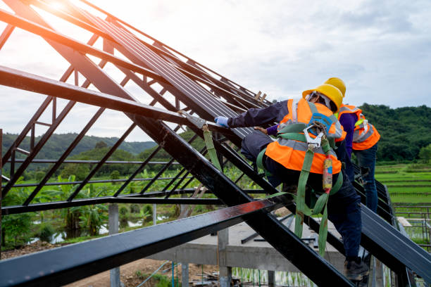 Best Roof Maintenance Services  in Temple Hills, MD